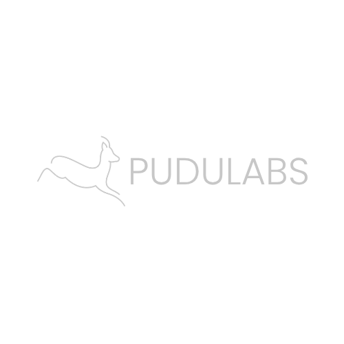 Pudu Labs